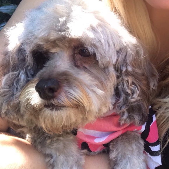 Meet The Posher Top 10% Seller- Ambassador - Picture 7 of 8